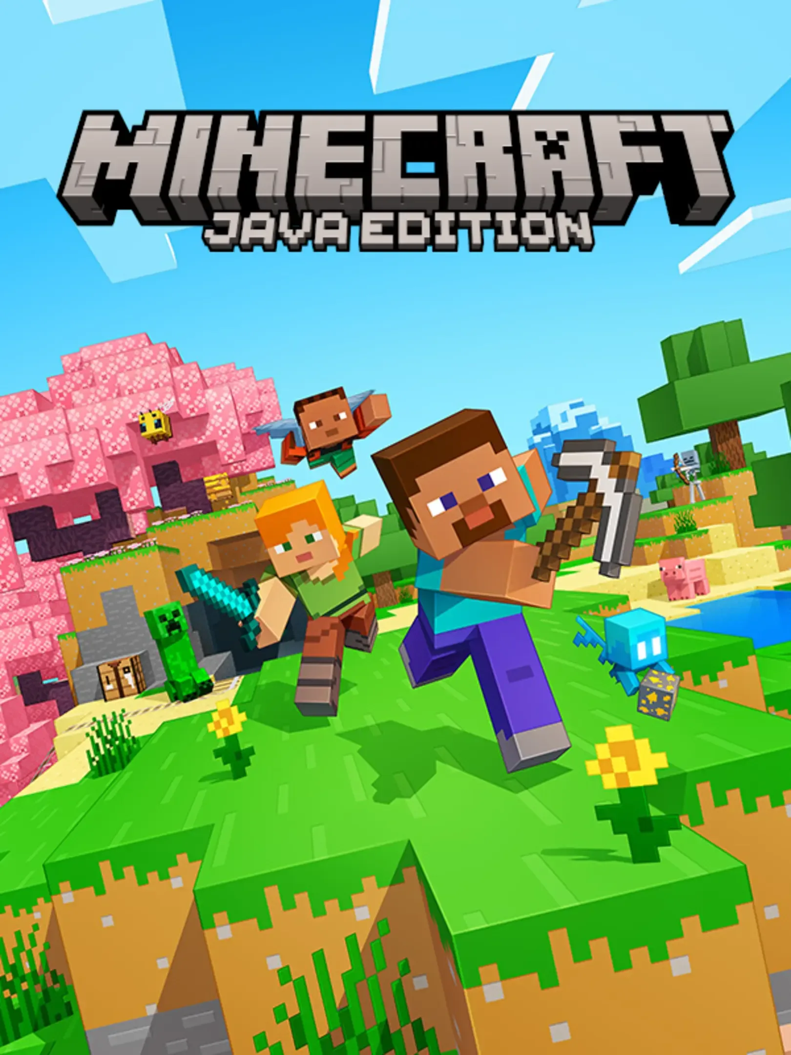 Minecraft Java